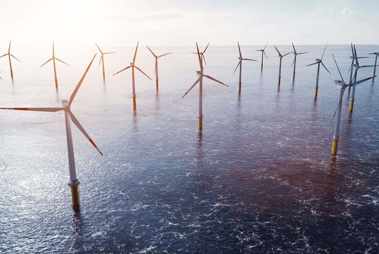 Carbon emissions data