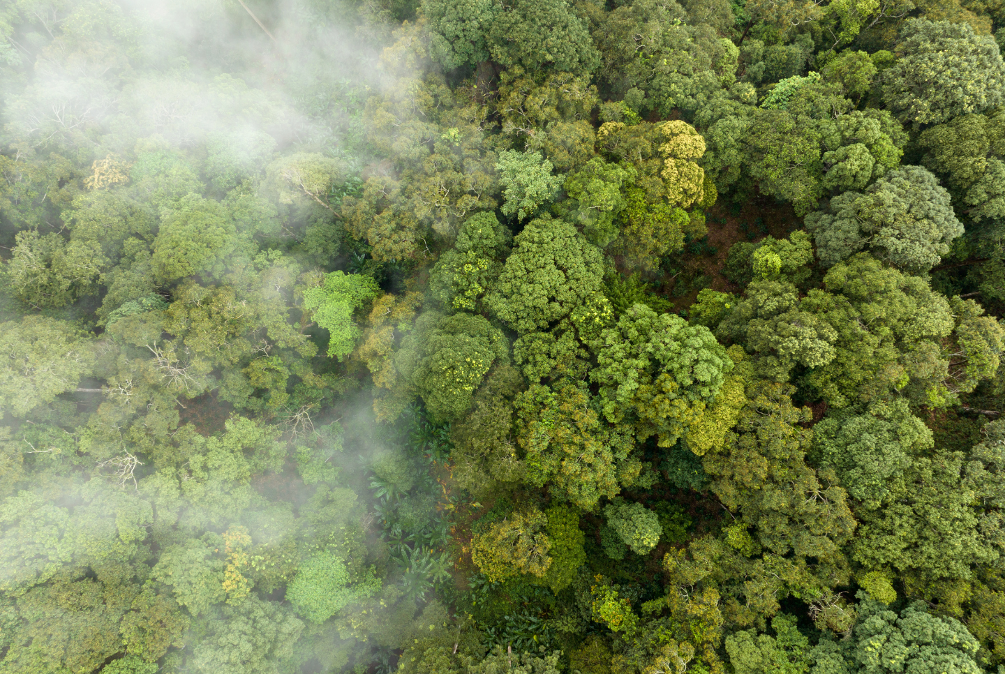 Overview of Global CO2 Regulations and Sustainability Initiatives