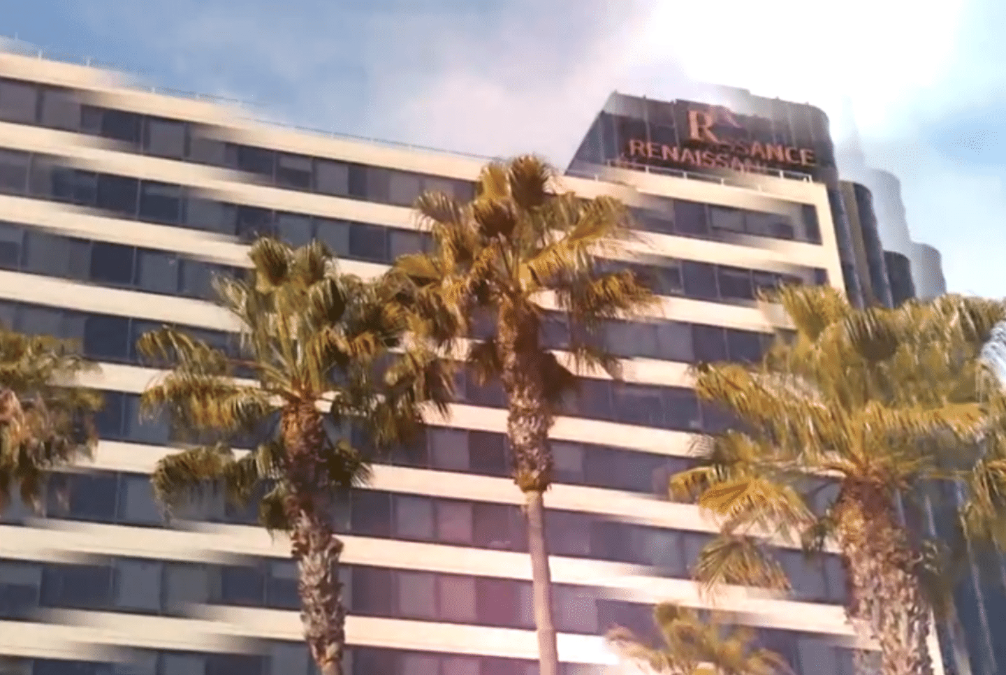 Palm trees and hotel for tpm tech 2022